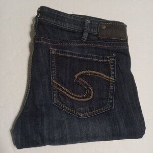 Silver Jeans Women's Aiko Skinny Jeans